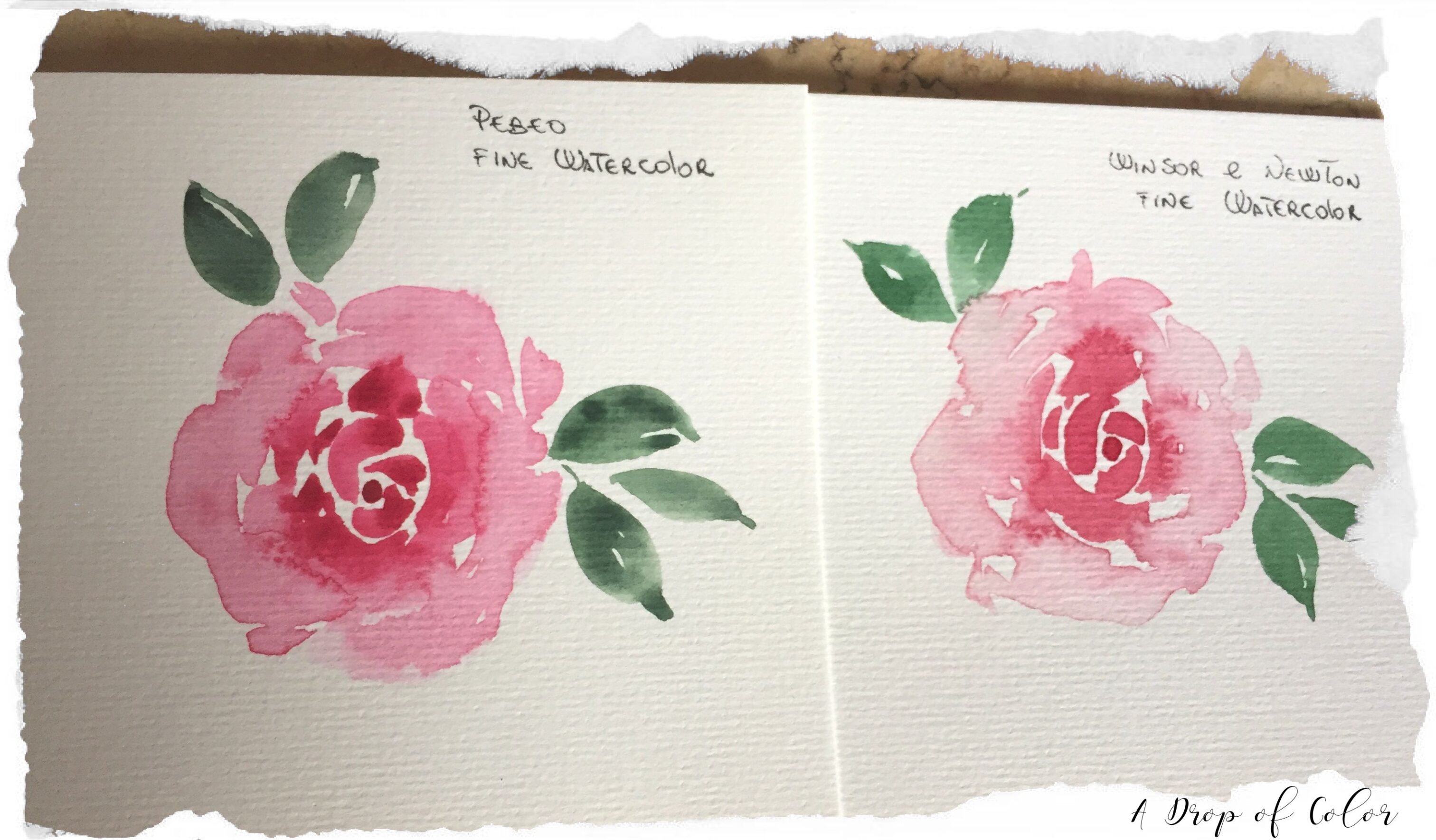 Pebeo vs Winsor & Newton acquerello