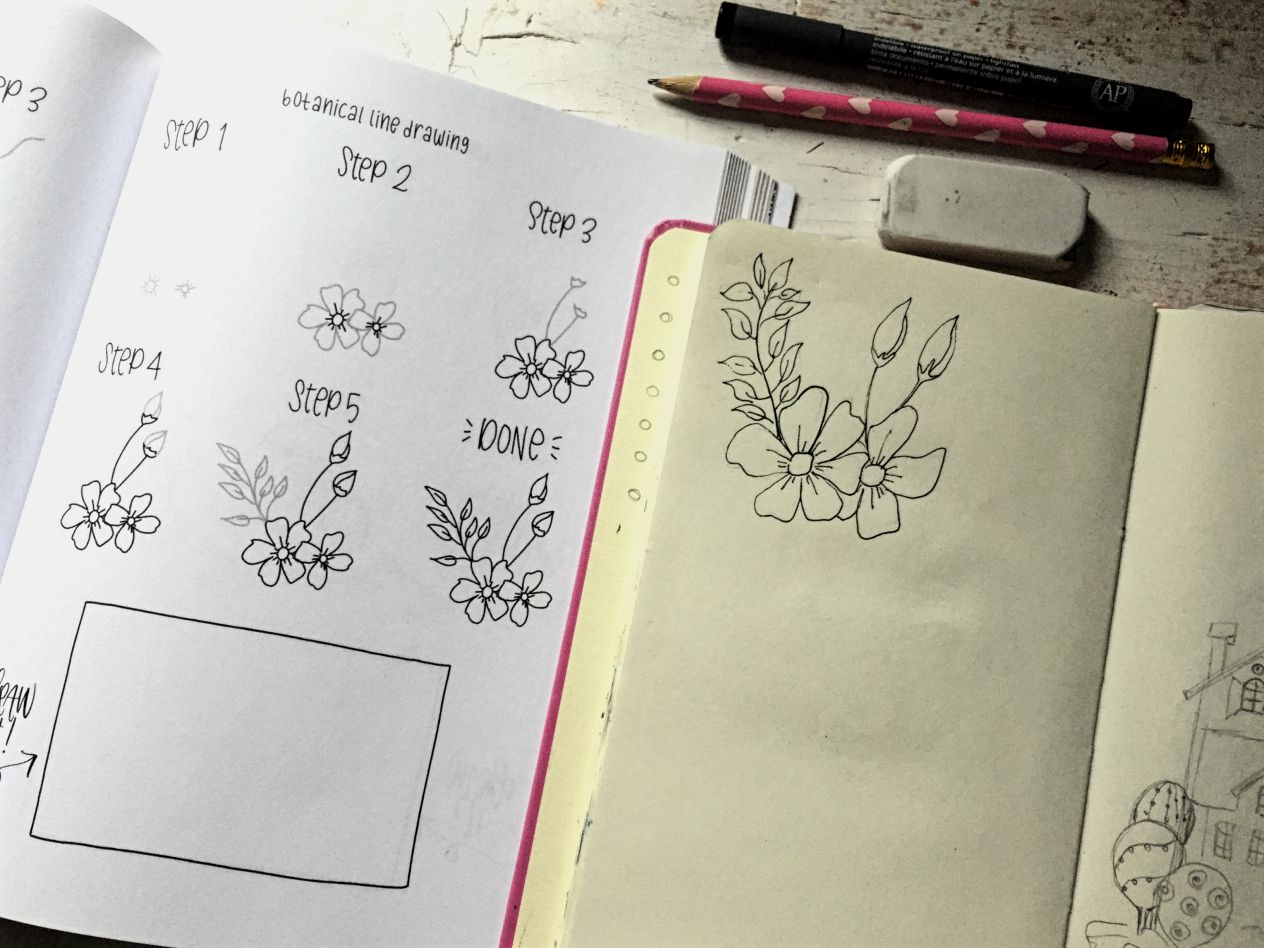 Botanical line drawing