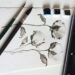 Fiori di cotone ad acquerello