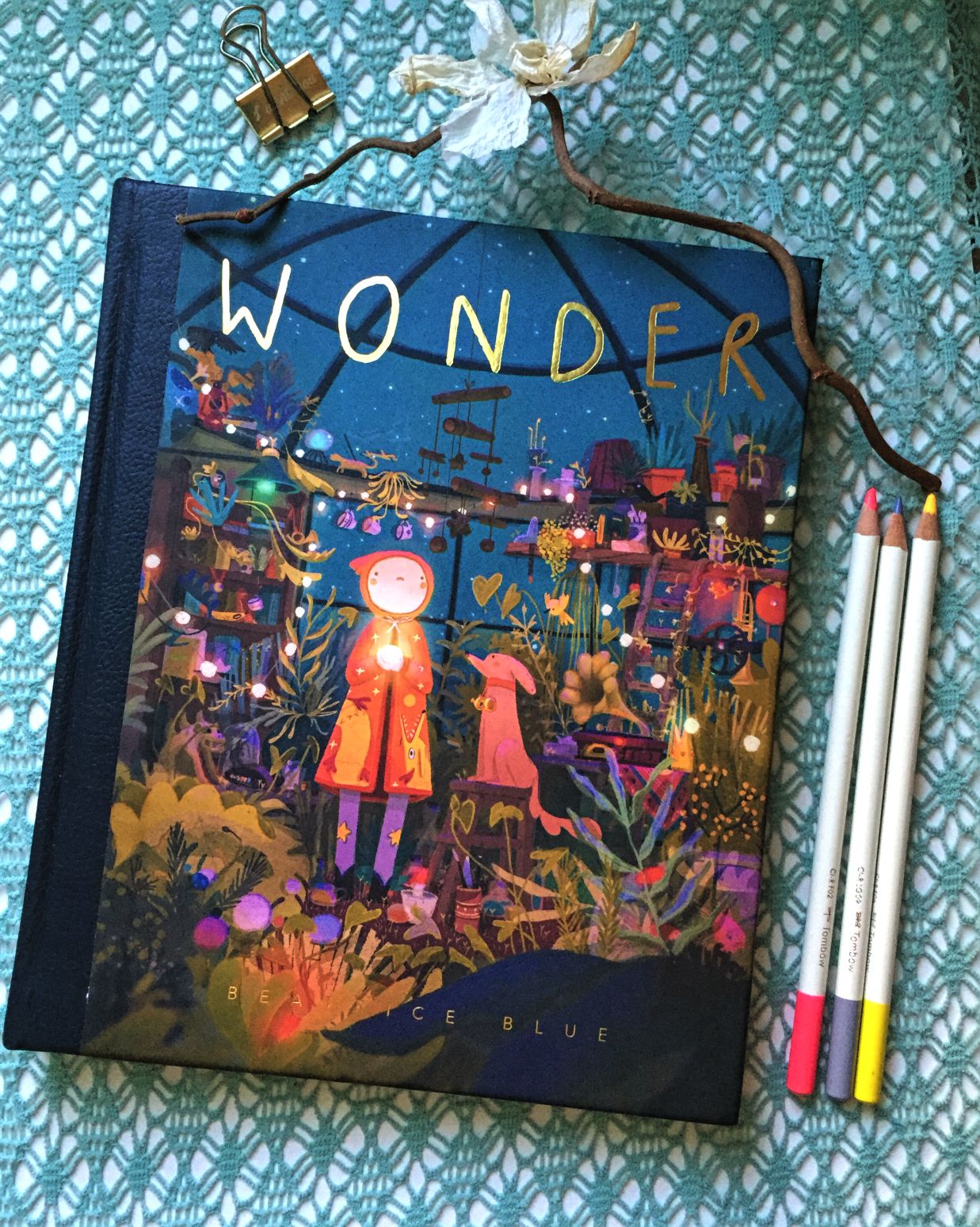 Wonder art book Beatrice Blue the empty glasshouse