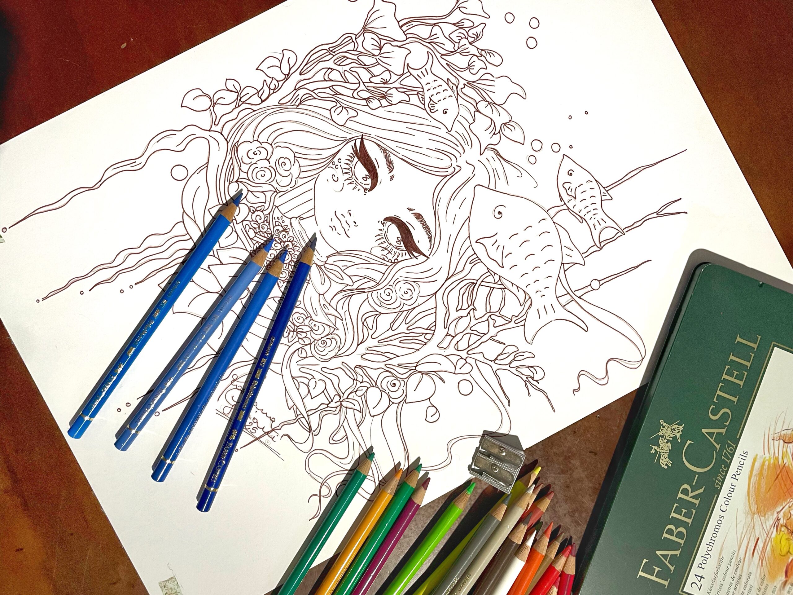 Recensione completa delle matite colorate professionali Polychromos Faber Castell